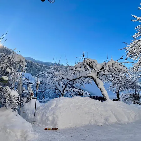 Rez-de-jardin A 10 Min De Crans-montana Appartement *