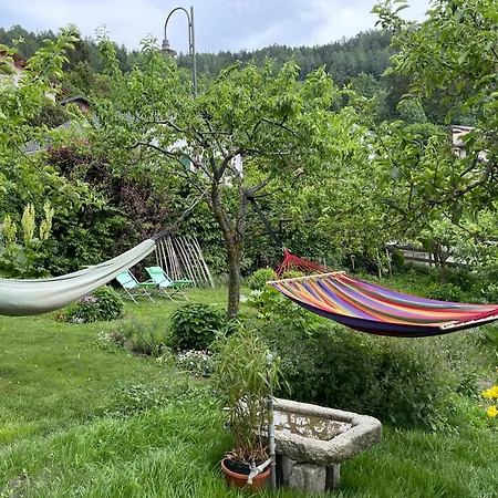 Rez-de-jardin A 10 Min De Crans-montana * Icogne
